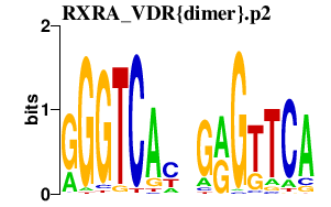 logo of RXRA_VDR{dimer}.p2